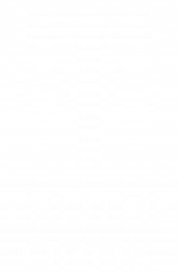Logo Schriftzug Trothe Optik